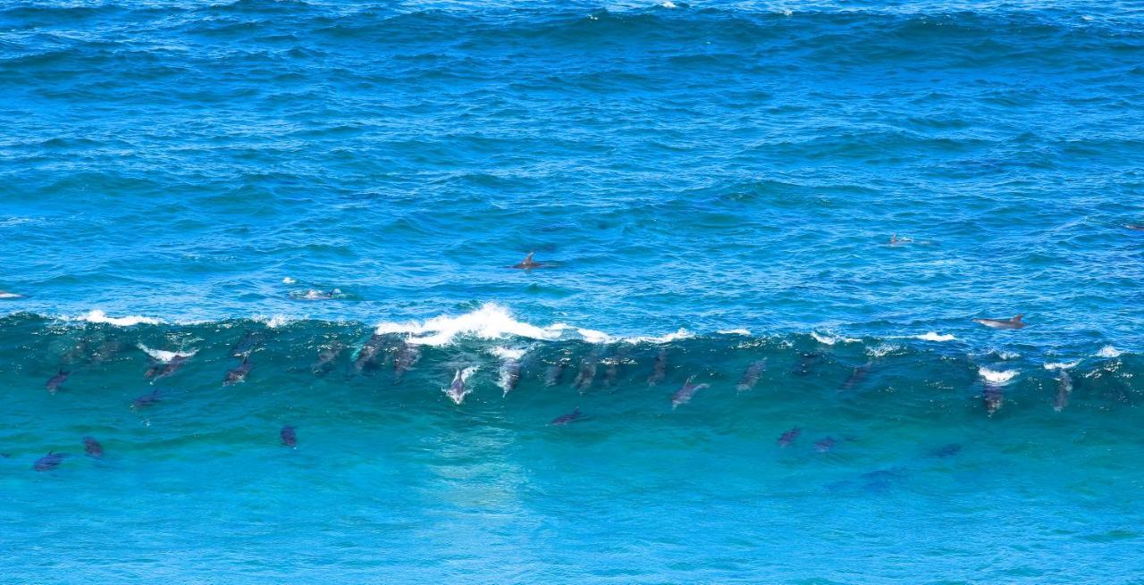 Raptors View Coffee Bay Esterno foto