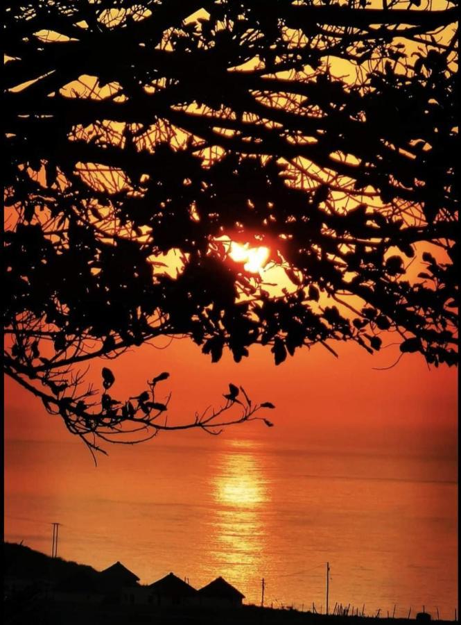 Raptors View Coffee Bay Esterno foto