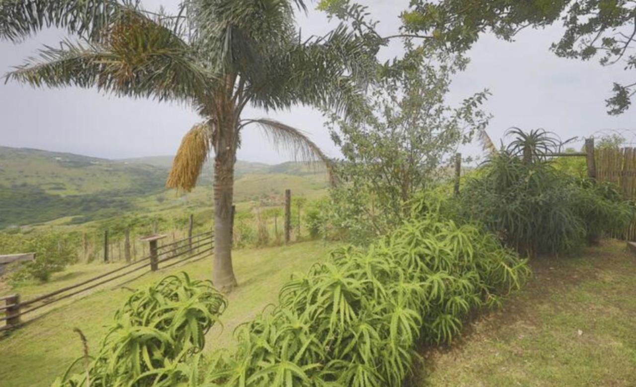 Raptors View Coffee Bay Esterno foto